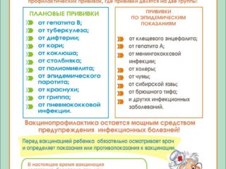 WhatsApp Image 2025-11-07 at 11.24.51