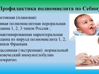 WhatsApp Image 2025-11-07 at 11.24.51 (4)