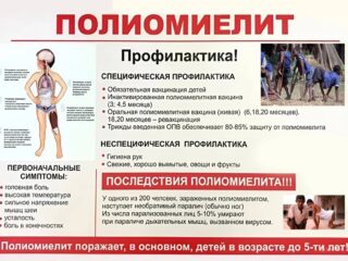WhatsApp Image 2025-11-07 at 11.24.52 (3)