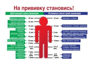WhatsApp Image 2025-11-07 at 11.24.52 (4)